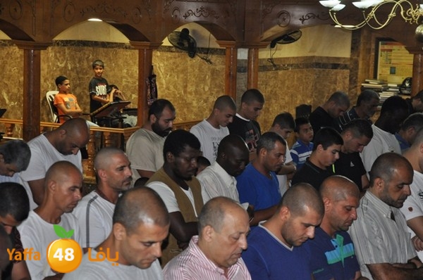 trawe7 mahmodiya 713 (27).JPG